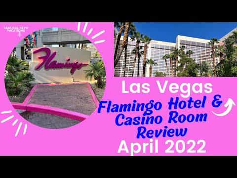 Reach Holds nv casino with Moonspin Crash: RTP, Volatility, and Big Gains
